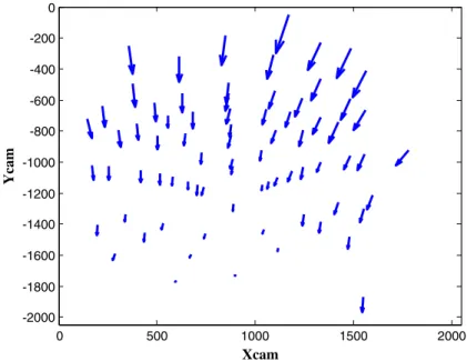 Fig. 5.4. Spot displacements ( × 100), as determined by DIC, between two Si Laue patterns collected on the neutral fiber and on an end fiber of a bent Si wafer (thickness 1.82 mm, tensile/compressive strain on the end fibers ε yy = ± 7.5.10 − 4 , probed vo