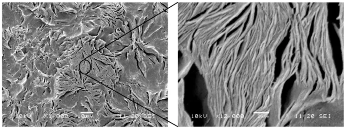 Figure 2: POM spherulitic and lamellar structure on chemically etched POM sample. 