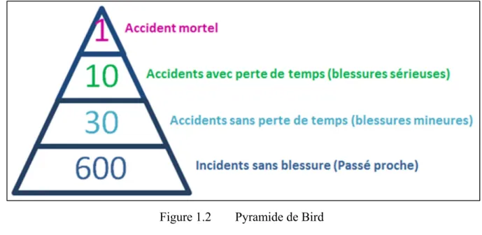 Figure 1.2  Pyramide de Bird  1.3.4  L’élimination des risques 