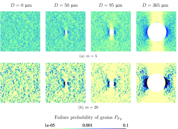 Fig. 9 Distribution of the failure probabilities of the grains P F,g in a microstructure loaded in fully reversed uniaxial tension at the experimental average fatigue limit level for different defect diameters D and shape parameters m.