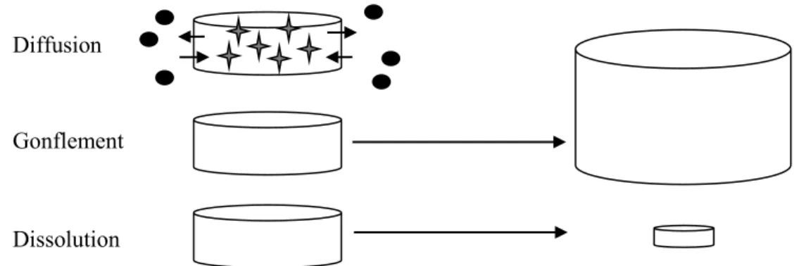Figure 2.4 Mécanismes les plus utilisés pour les systèmes à libération contrôlée du principe actif à partir de  comprimés matriciels (Tiré de Wehrlé, 2007).