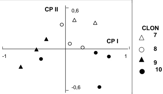 Figura 2. Ordenamiento bidimensional en Paspalum dilatatum: a) cuatro clones de la subespecie  dilatatum en base al 1º y 2º componente principal (CPI y CPII) 