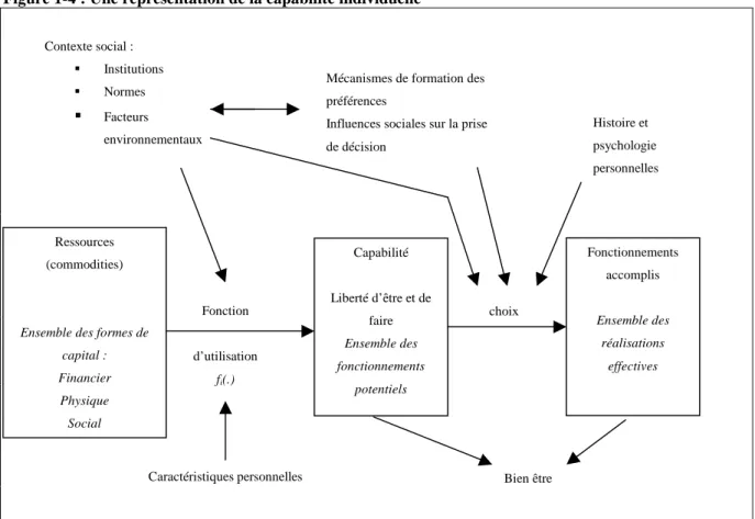 Figure 1-4 : Une représentation de la capabilité individuelle 