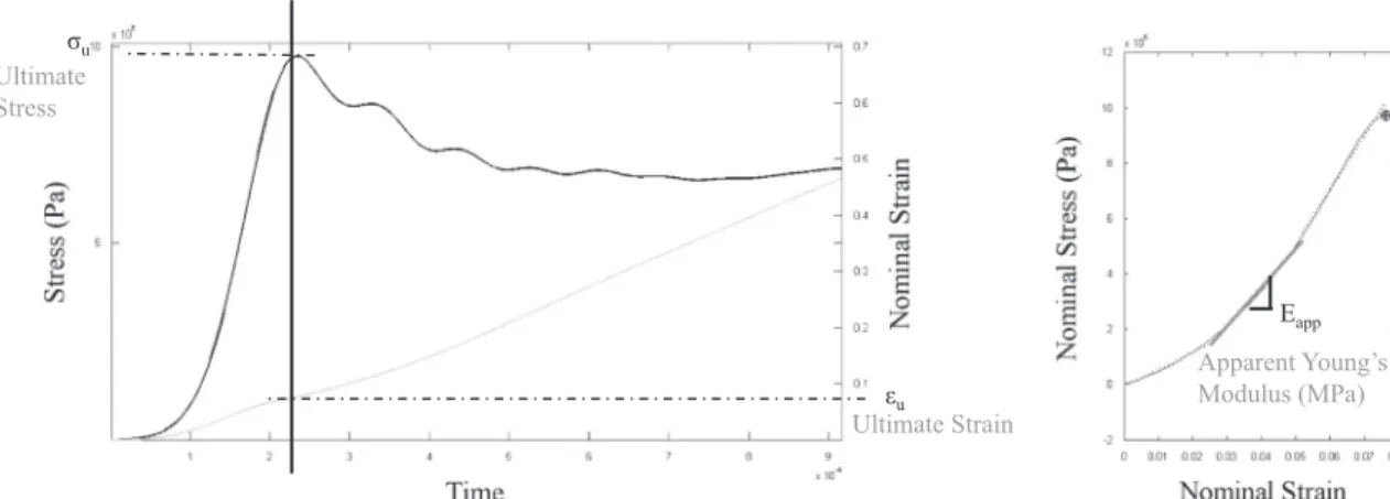 Fig. 4. Bone volume fraction BV/TV and ultimate stress repartition: box and whiskers plot.