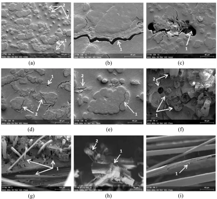 Fig. 5. SEM observations of failure profiles and micrographs. (a)–(c) Micrograph of a reference specimen, (d) and (e) micrograph of a specimen loaded to 50% of the failure load and (f)–(i) SEM views of different breakage profiles.