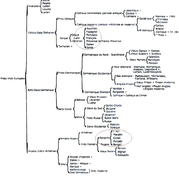 Tableau III  : Famille de langues indo- européennes  ii 