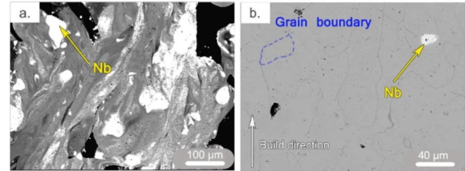 Fig. 6. Tomographic reconstruction of a volume in sample 1 with 19.7% porosity and 20.3% Nb particles; (a) full volume with TiNb alloy (blue), Nb particles (yellow), voids (hollow)and (b) Nb particles in the volume.