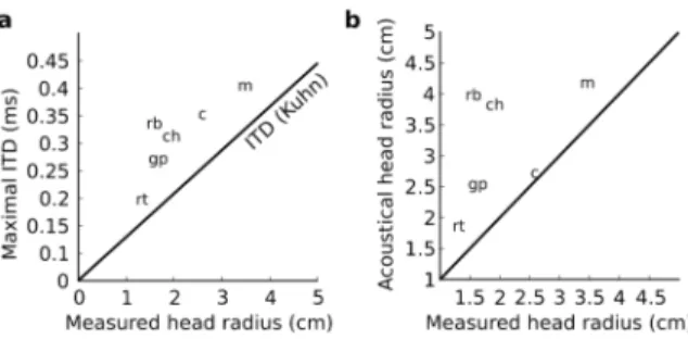 Figure 9: Comparison of measured ITD range with anatomy. (a) Maximal measured low-frequency ITD as a function of half the interaural distance measured on the taxidermist models