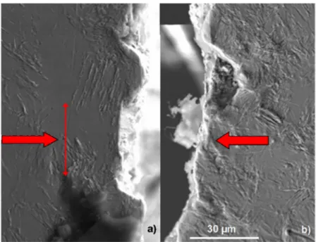 Fig. 8a exhibits the 2D temperature map of an a -iron specimen loaded at a stress amplitude of 120 MPa up to 5  10 6 cycles 