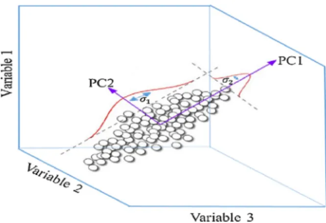 Fig. 4 – Principle of PCA.