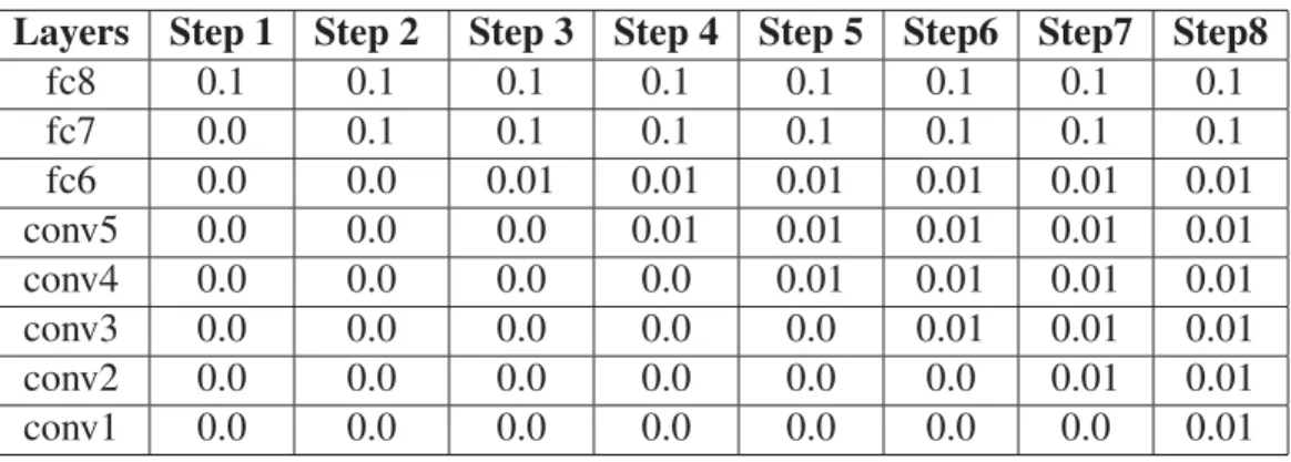 Table 3.2 Learning rates at each step of ﬁne-tuning the AlexNet model in our experiments