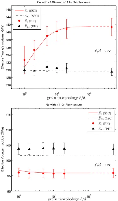 Fig. 7. Effective longitudinal and transverse Young’s moduli (  E  1 and  E  2 , 3 , respec-  tively) in terms of the grain aspect ratio   /  d  