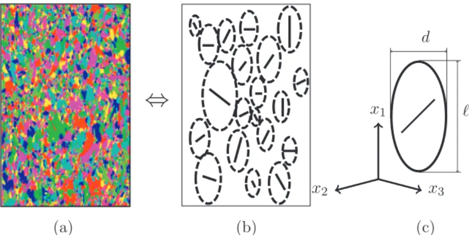 Fig. 4. Schematic  geometry of the  SSC  model:  (a)  perfectly  disordered  mixture of  the  grains, being  similar  with  the real morphological texture in polycrystals