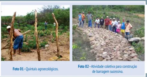 Foto 01 - Quintais agroecológicos. Foto 02 - Atividade coletiva para construção de barragem sucessiva.