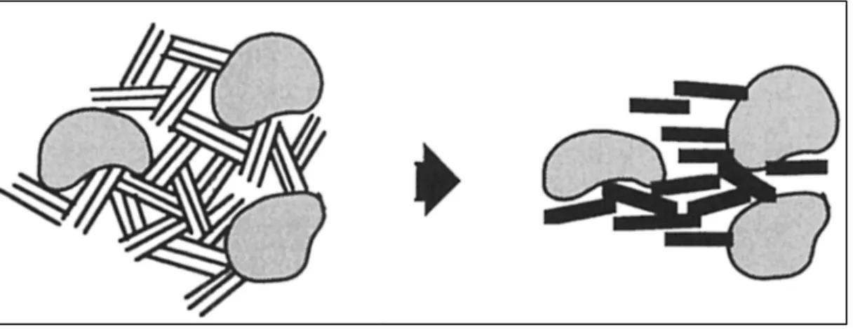 Figure 1-5 Changement de la microstructure des sols fins sous l'effet de gel-dégel  Tirée de Chamberlain and Gow (1979) 