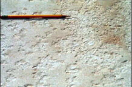 Figure 1-11 Écaillage de la surface de béton  Tirée de PCA (2018) 