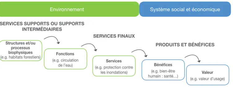 Figure 2 : La cascade des services écosystémiques (d’après Haines-Young et Potschin, 2013)Structures et/ou  