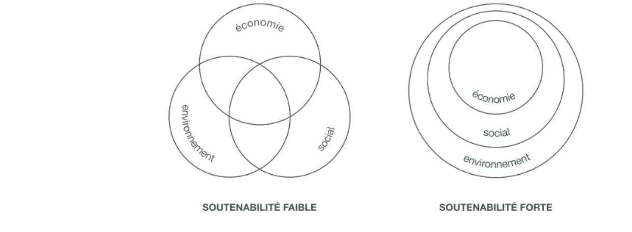 Figure 3 : Deux conceptions du développement durable (Passet, 1979)