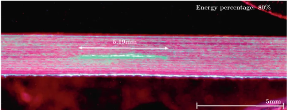 Fig. 18. Damage size in the case of symmetrical laser shock configuration and 60% energy percentage.
