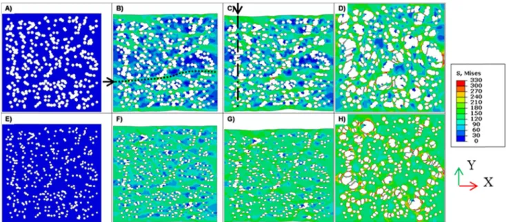 Fig. 11. Comparison of the Von Mises stress ﬁeld for several loading states considering the same distribution of pores