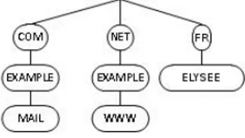 Figure 1. Architectures of domain names MAIL.EXAMPLE.COM,  WWW.EXAMPLE.NET and NICE.FR 
