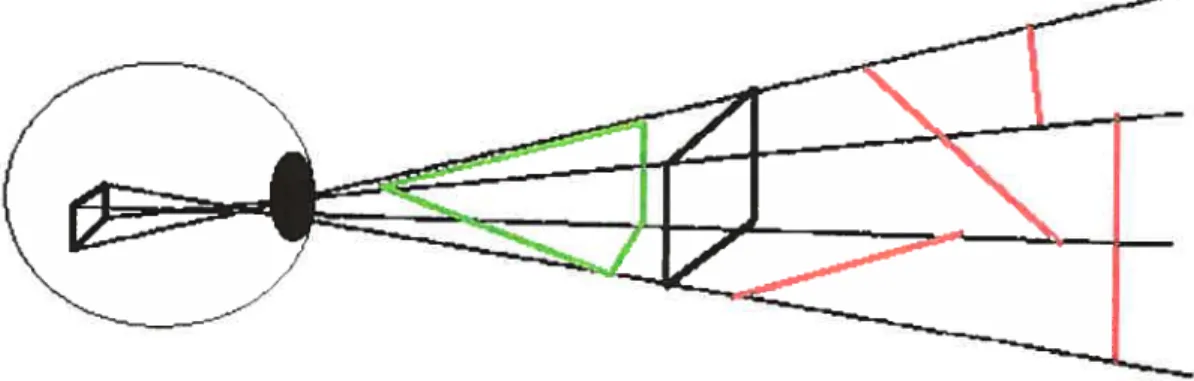 Figure 1 Le motif lumineux sur la rétine est le résultat de la projection d’une structure tridimensionnelle distale tandis que les formes verte, noire et rouge sont quelques-unes des formes pouvant être inférées à partir de ce motif bidimensionnel