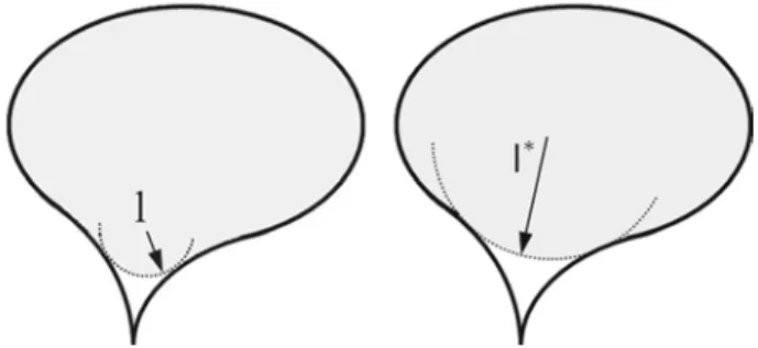Fig. 1   Thresholding the contour by the curvature l, defining  A(l), in gray, and its contour  P(l)