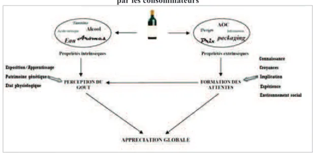 Figure 2: Synthèse du processus de perception et de formation des préférences vis-à-vis du vin  par les consommateurs 