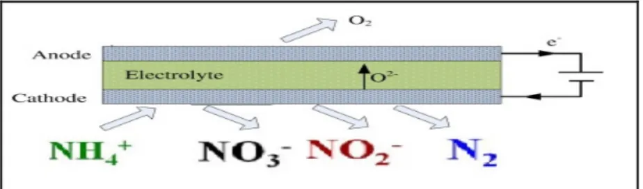 Figure 1.6  :  Cellule électrochimique 