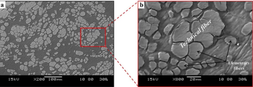 Fig. 7 shows the in-situ chip morphology for di ﬀ erent cutting con- con-ditions. Both cutting speed and depth inﬂuence the chip curling