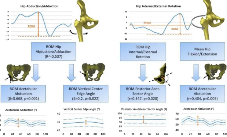 Fig. 3. Determinants of hip abduction/adduction and hip internal/external rotation during gait among demographic parameters and 3D hip radiological parameters computed during gait.