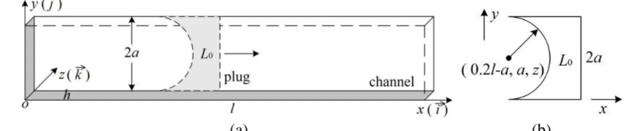 Fig. 1 (a) The sketch of the channel with a mucus plug mounted. Channel length: 0xl, width: 0y2a,  and depth: 0zh