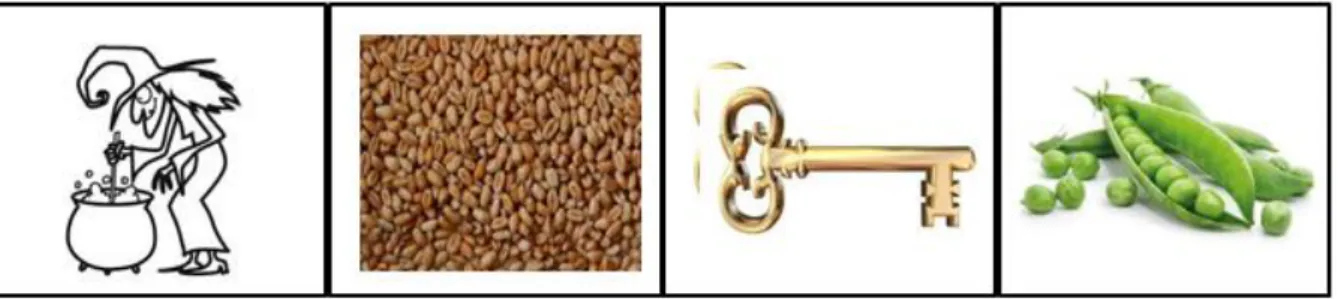 Tableau de notation concernant l’évaluation du lexique en désignation 
