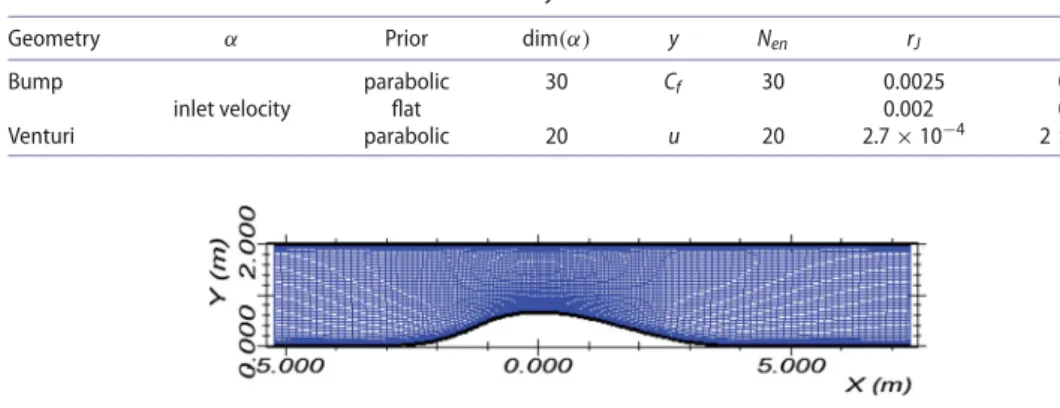 Figure 2. Mesh of WallTurb Bump.