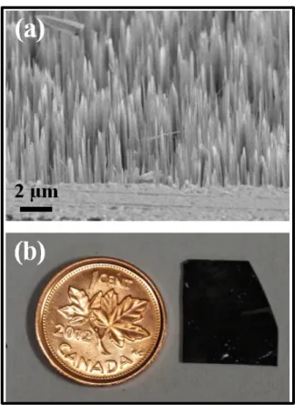 Figure 5.1 (a) SEM micrograph of the silicon nanowire arrays synthesized using GDM  (b) Top-view of the nanostructured silicon sample, highlighting the uniformity and the strong 