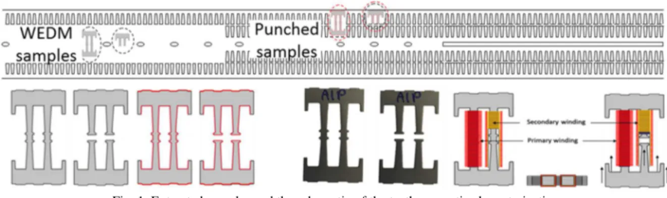 Fig. 1. Extracted samples and the schematic of the teeth magnetic characterization 