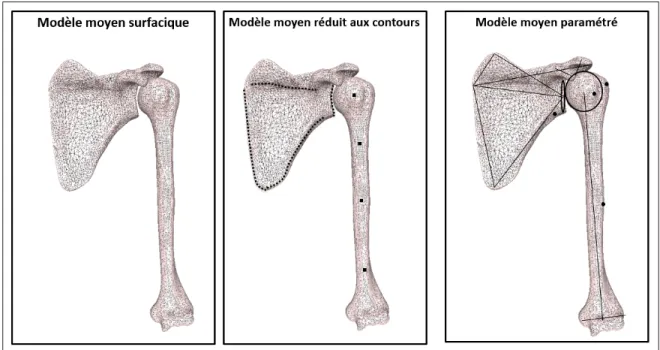 Figure 1.8 Représentation des différents modèles moyens