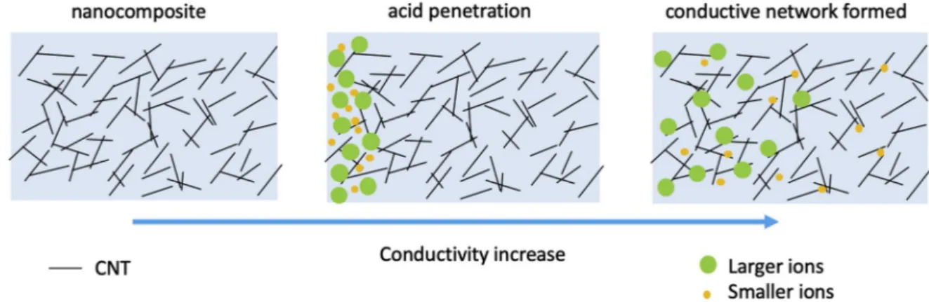 Fig. 1. Sensing mechanism of CNT based nanocomposite sensor, from insulating to conductive