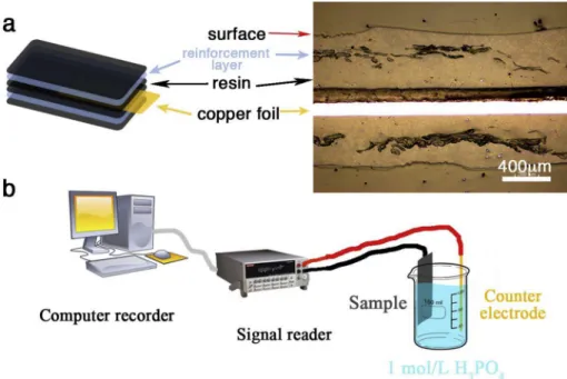 Fig.  4  shows  the  SEM  images  of  sensor  cross-sections.  Both  pre-  testing  and  post-testing  images  for  CNT  and  carbon  black  are   pre-sented