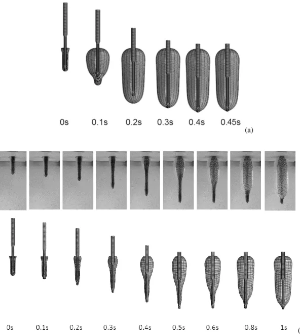 Figure 6. (a) Free blowing like simulation; (b) Stretch blowing simulation 