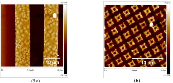Figure 9. (a) 40 × 40 µm AFM micrograph of the 10 µm micro lines of PVDF; (b) 20 µm AFM  micrograph of the 2 µm dimeter squared-rings.