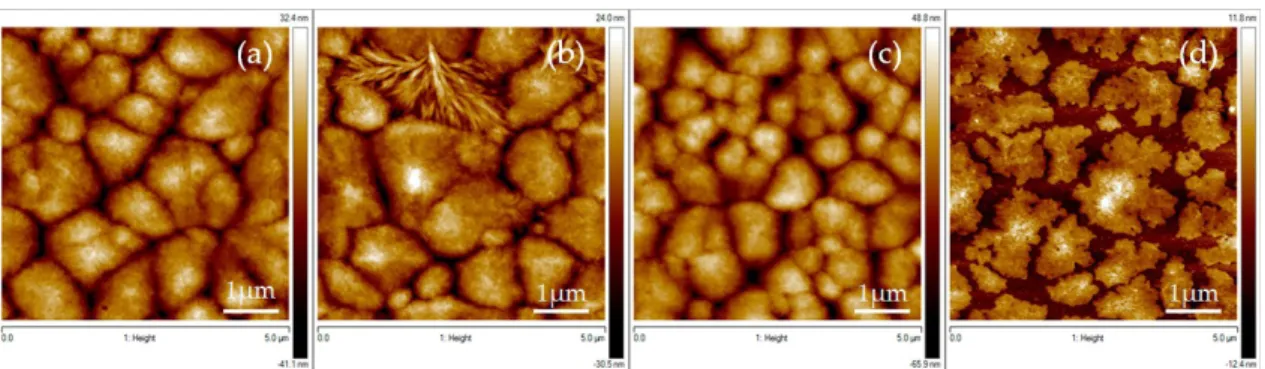 Figure 4. 5 × 5 µm AFM micrographs showing the morphology of PVDF thin films spin-coated on silicon at different temperature: PVDF films obtained at (a) 20  ◦ C; (b) 40  ◦ C; (c) 60  ◦ C and (d) 80  ◦ C.