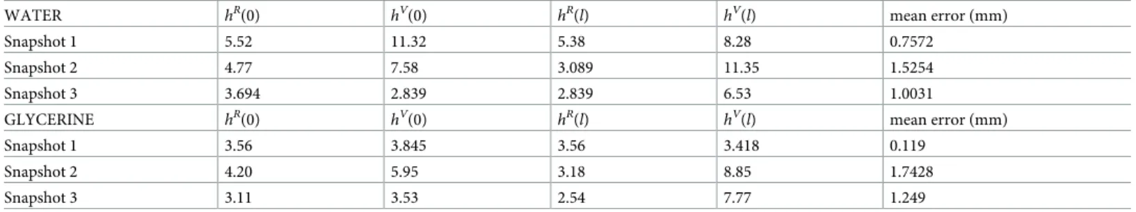 Table 3. Numerical results of the experimental validation. Snapshot number refer to the ones shown in Fig 8.
