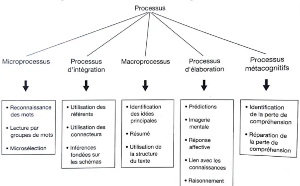 Figure 1 : Classification d’Irwin (1986) concernant les différents processus de lecture intervenant de façon  simultanée