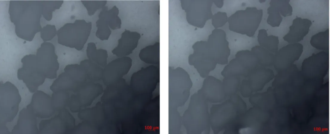 Fig. 4. Schematic pictures of the fabrication of PU samples loaded with the Flector. Mold and blanking tools of the samples.
