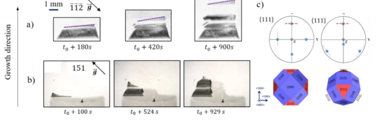 Figure 7: Image sequence of diffraction spot images – topographs corresponding to twinning zones 