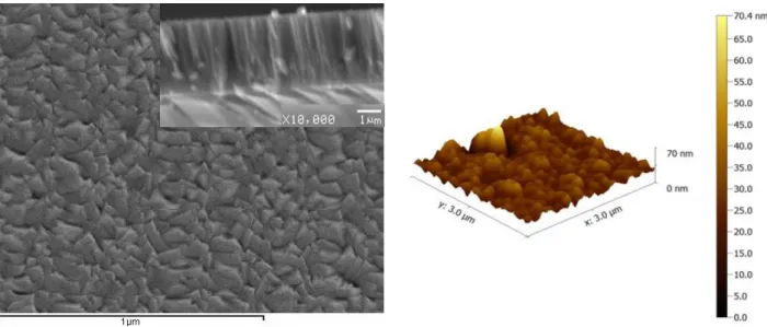 Fig. 2. SEM (a) and AFM (b) surface morphology of TiN thin film deposited with the  Ar/N 2  ration~ 1:1