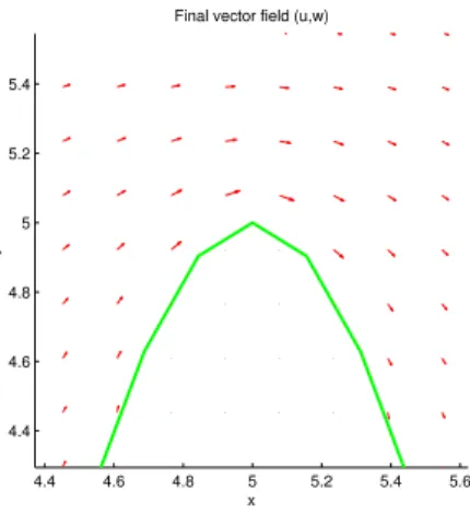 Fig. 2.20. Final vetor elds (u, v) exp over the exponential hill H exp .
