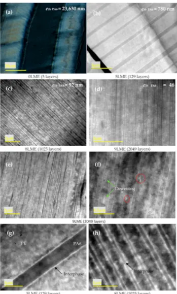 Figure 2. Optical (a), TEM (b–f), images of (a–f) PE/PEgMA/PA6 multilayer films using 0 (a), 5 (b,g), 8 (c,h) and 9 (d–f) multiplying elements.