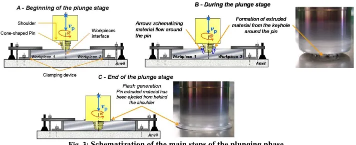 Fig. 3:  Schematization of the main steps of the plunging phase